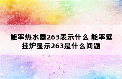 能率热水器263表示什么 能率壁挂炉显示263是什么问题